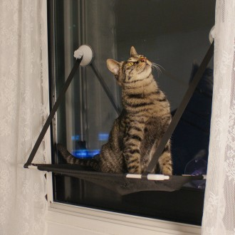 뚜또가또 고양이 윈도우 튼튼 해먹/1단/2단/25kg/뚱냥이