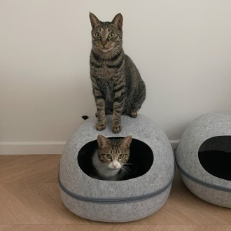 뚜또가또 고양이 꼭꼭 숨어라 숨숨집/대형/하우스