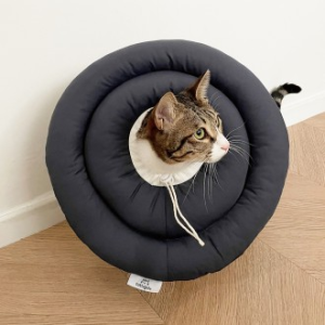 뚜또가또 반려동물 가벼운 넥카라/S XL/동물병원납품