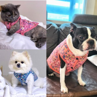 S-3XL 애견 꽃무늬 누빔 조끼 할매 김장조끼 2컬러 강아지옷
