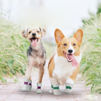 강아지 일회용 신발 반려견 산책 용품 부직포 밴드 부츠 발붕대 발토시 애견 슈즈 8P