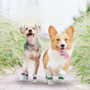 강아지 일회용 신발 반려견 산책 용품 부직포 밴드 부츠 발붕대 발토시 애견 슈즈 8P