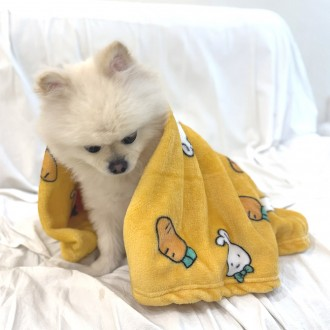 강아지 겨울 담요 M사이즈 극세사 보온담요 이불 깔개