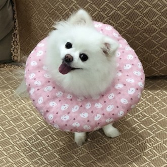 푹신 펫 쿠션 강아지 고양이 넥카라 목카라