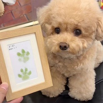 강아지 발도장 액자 발자국 고양이 반려견 반려묘 반려동물 기념 생일