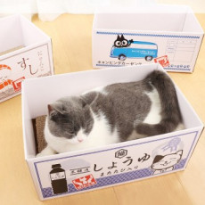 고양이 스크래쳐 박스 반려묘 숨숨집 골판지 스크래처 캣 장난감