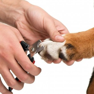반려동물 발톱깍이 강아지 고양이 손톱 네일 클리버