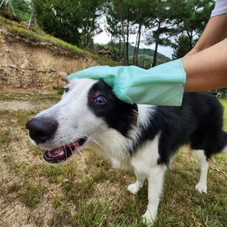반려동물 죽은털 털갈이장갑 실리콘 고무장갑