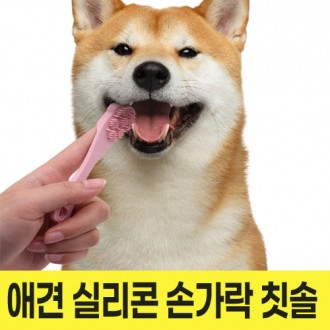 강아지 실리콘 손가락 칫솔