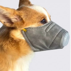 강아지 미세먼지 마스크 3개입 애견 반려견 3중 필터 스트랩 마스크 중형