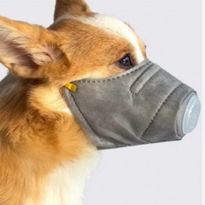 강아지 미세먼지 마스크 3개입 애견 반려견 3중 필터 스트랩 마스크 중형