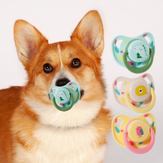 강아지쪽쪽이 강아지이갈이 강아지치발기 터그놀이