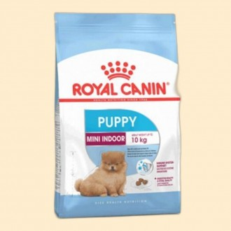 아기 강아지 사료 스몰독 3kg 면역기능 형증진 퍼피