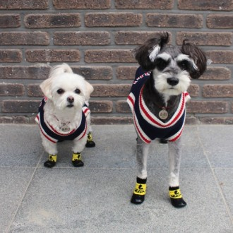 산책용 미끄럼 방지 양말 겸 방수 신발 강아지 애견 3color 장화 소형견