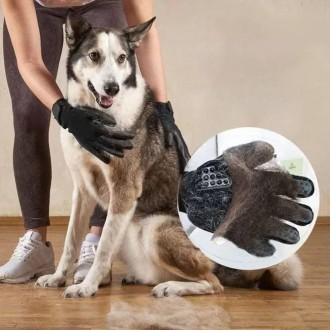 샤워장갑 반려동물 애견 펫용품 목욕장갑 강아지용품 고양이용품 강아지